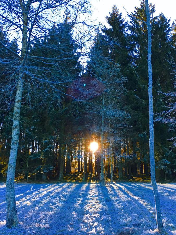 Вилла Le Voyageur Murringen Экстерьер фото